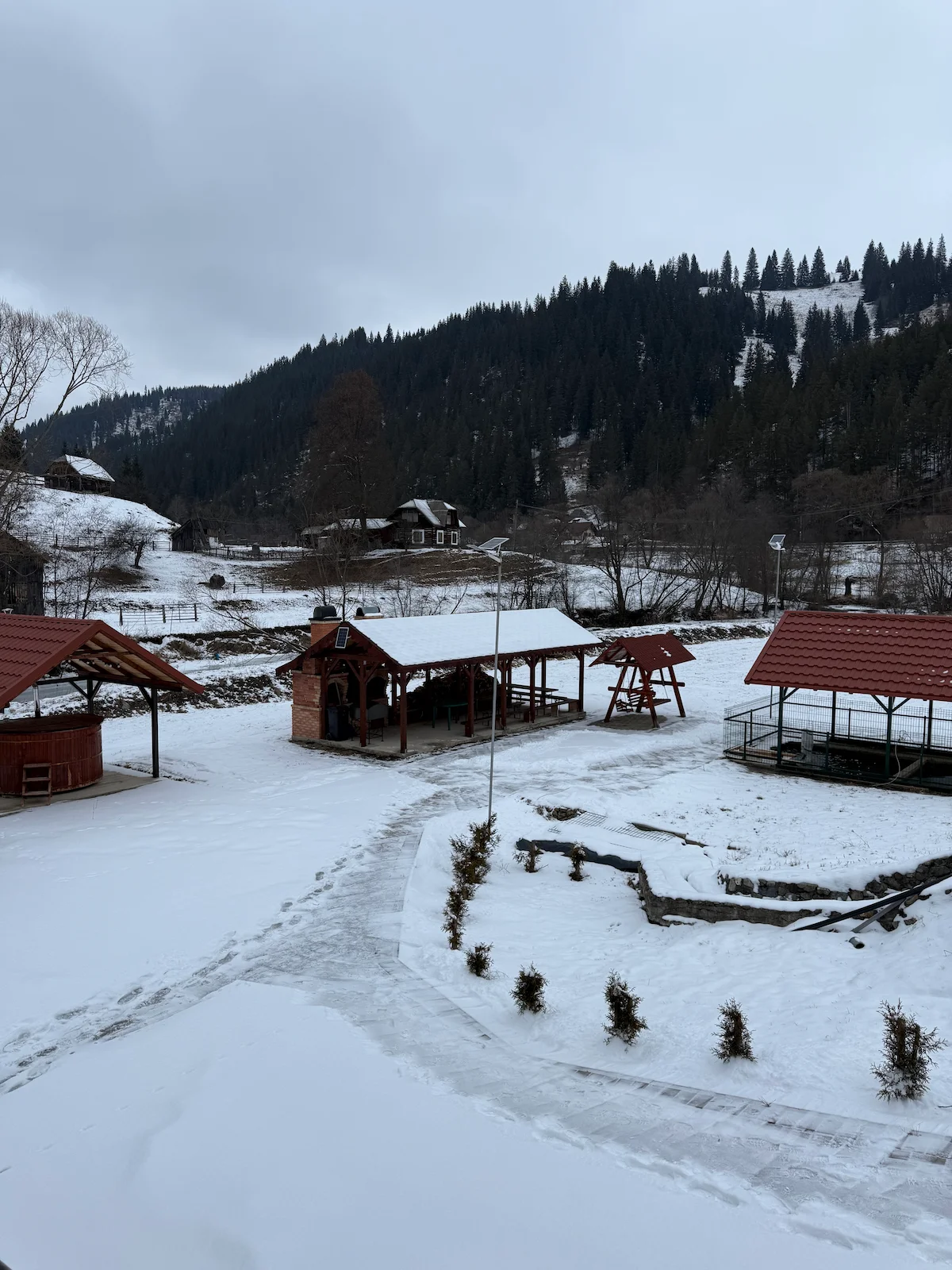 Curte Cheile Braniștei