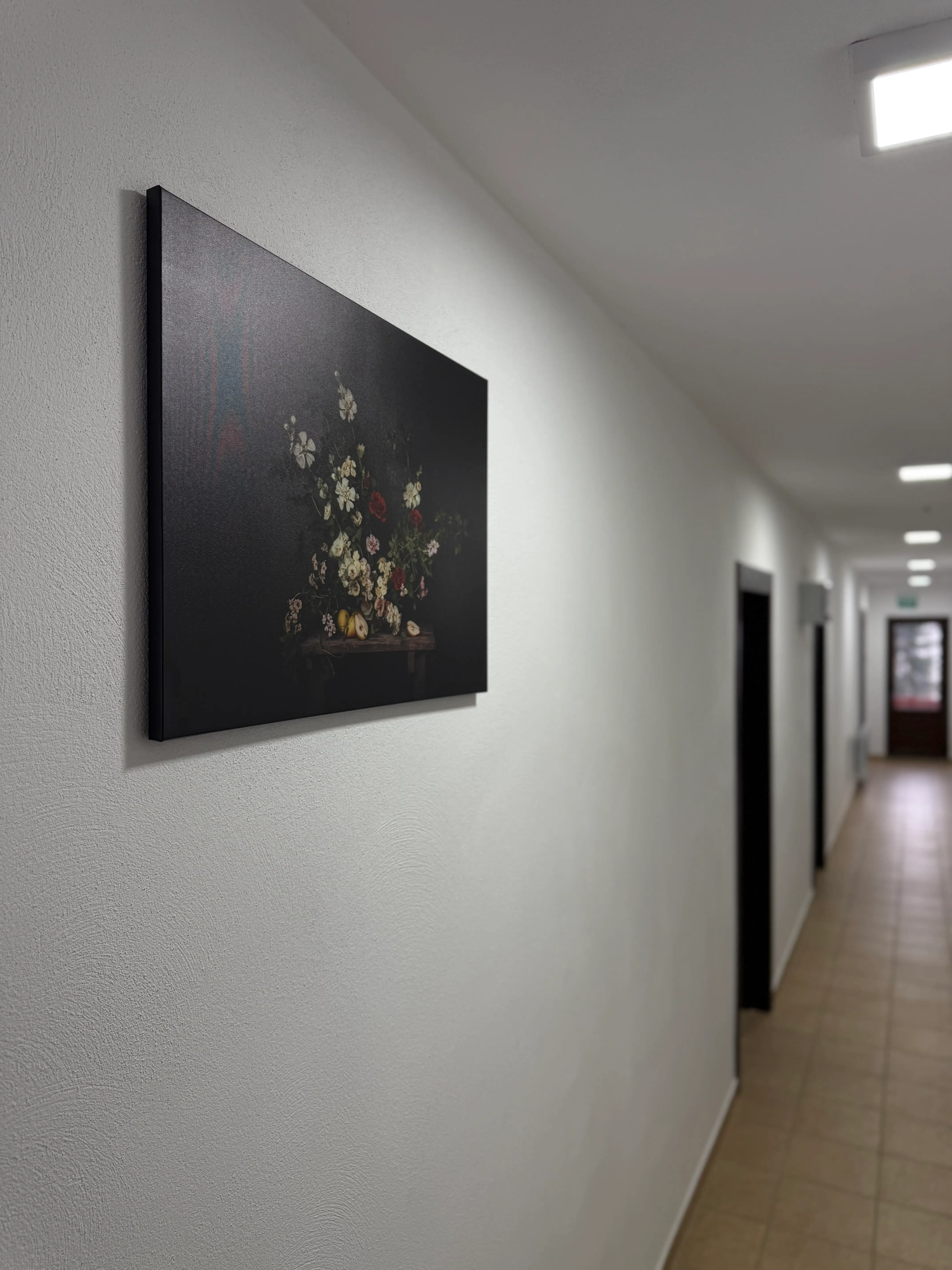 Hol Cheile Braniștei